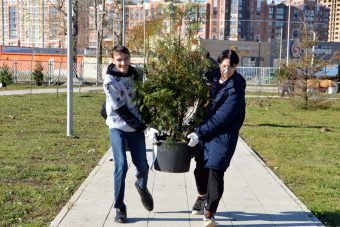 В микрорайоне «Южный» в Твери посадили новые деревья и кусты
