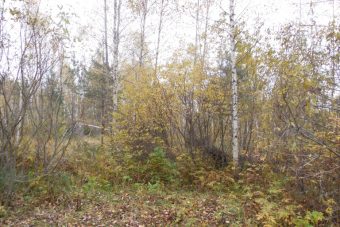 В Удомельском городском округе землевладелец повторно попался на нарушении