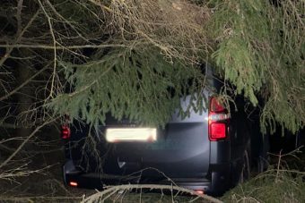Два пассажира Citroen пострадали в ДТП в Тверской области