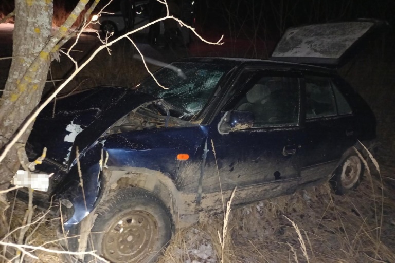 В Тверской области авто протаранило дерево, два человека попали в больницу