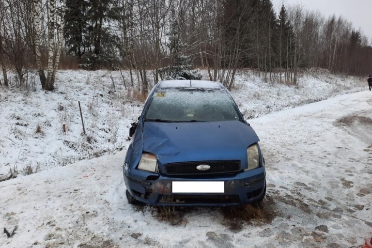 В вылетевшем в кювет автомобиле в Тверской области пострадали два человека