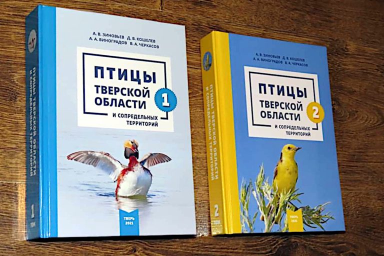 В Твери вышла уникальная книга про всех птиц, обитающих в регионе