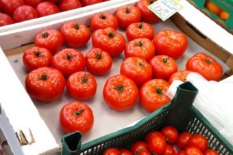 В Твери торговали сомнительными томатами и мандаринами