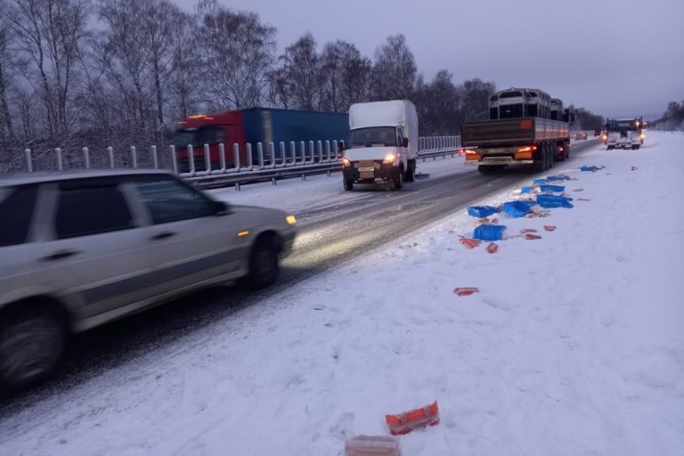 В Тверской области на трассе М-10 два человека пострадали в ДТП с участием микроавтобуса и хлебовоза