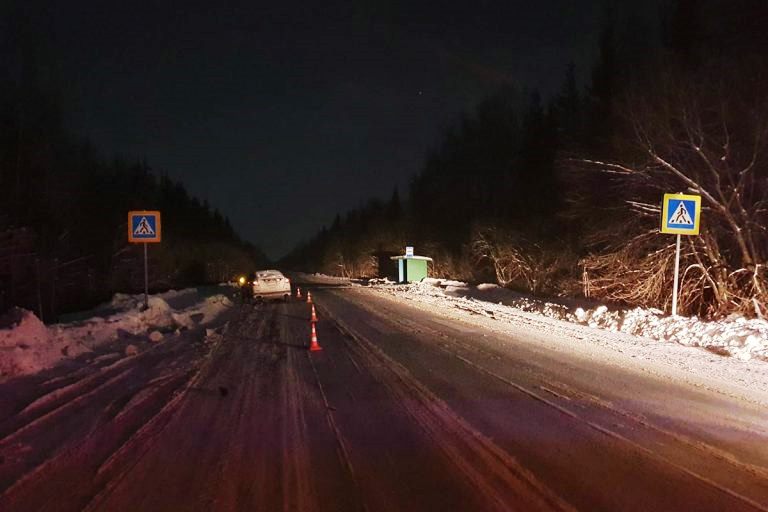 В Тверской области водитель пострадал в столкновении иномарки с лосем