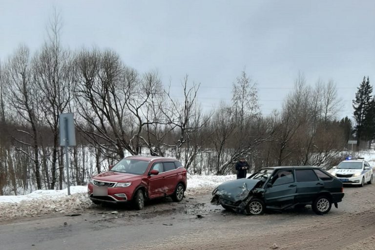 В Ржевском районе 13-летняя девочка получила травмы в аварии