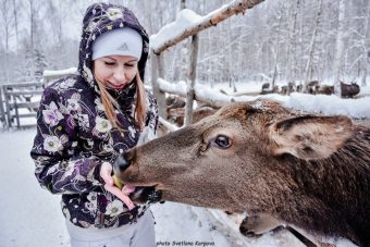 Зимняя сказка в оленьем царстве Усадьбы «Судимиръ»