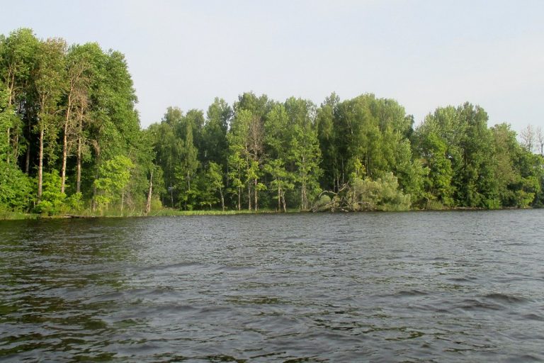 В Тверской области появились еще два природных парка