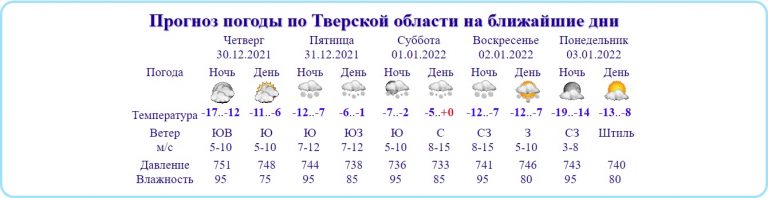 Жителям Тверской области пообещали идеальную погоду на Новый год