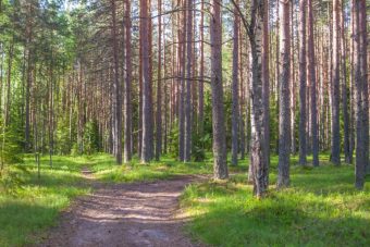 В Тверской области утверждены границы 15 особо охраняемых природных территорий регионального значения