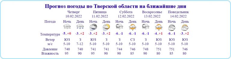 Дождик после четверга: в Тверской области становится все теплее