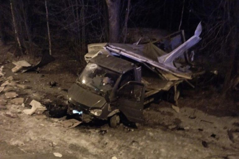 Уснувший водитель спровоцировал серьезное ДТП под Тверью