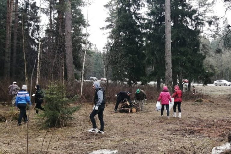 В Твери собрали и вывезли около 190 кубометров мусора