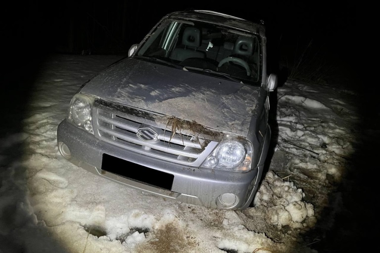 В Тверской области водитель потерял сознание во время езды и попал в ДТП