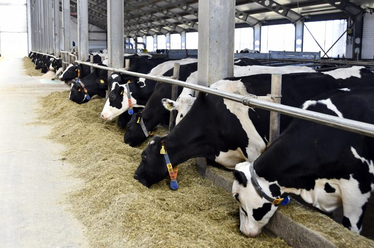 Парламентарии в Тверской области обсудили ход подготовки к весенним полевым работам