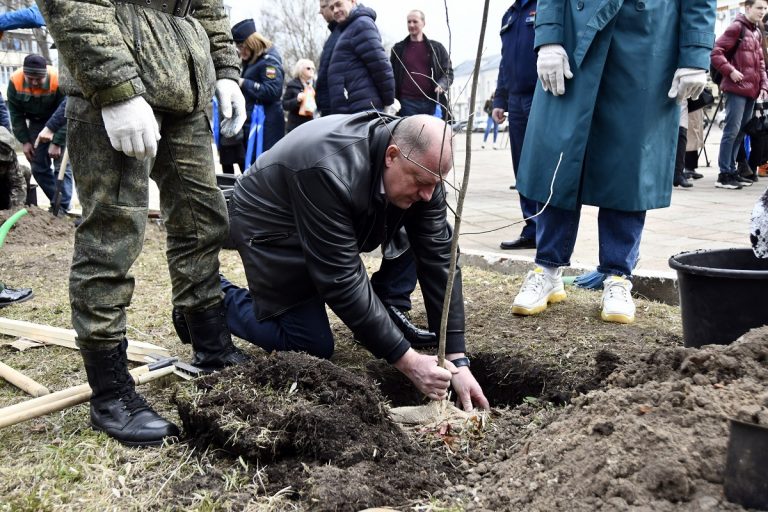 В Твери у академии ВКО заложена дубовая аллея