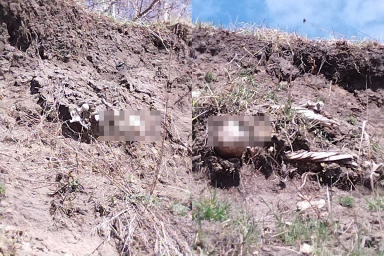 В Тверской области бьют тревогу из-за выглядывающих из под земли скелетов