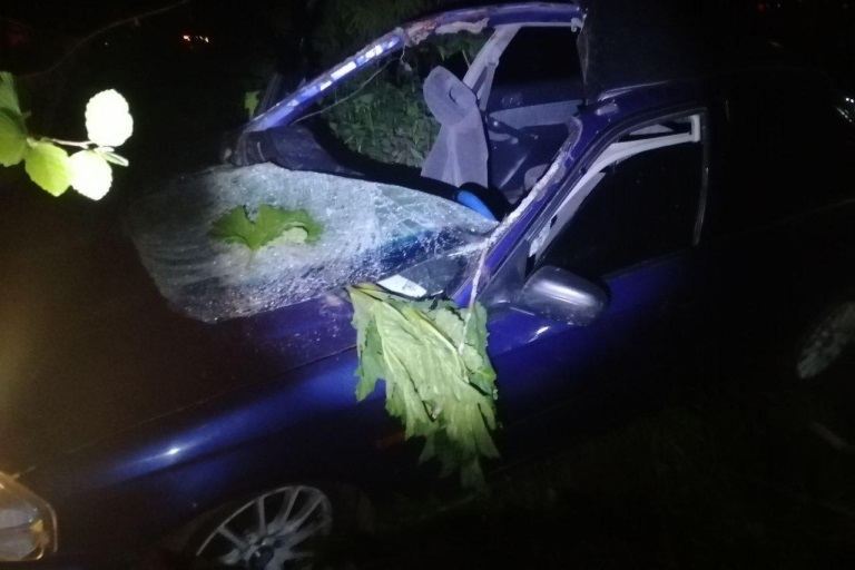 В Тверской области юный водитель пострадал в ночном ДТП с лосем