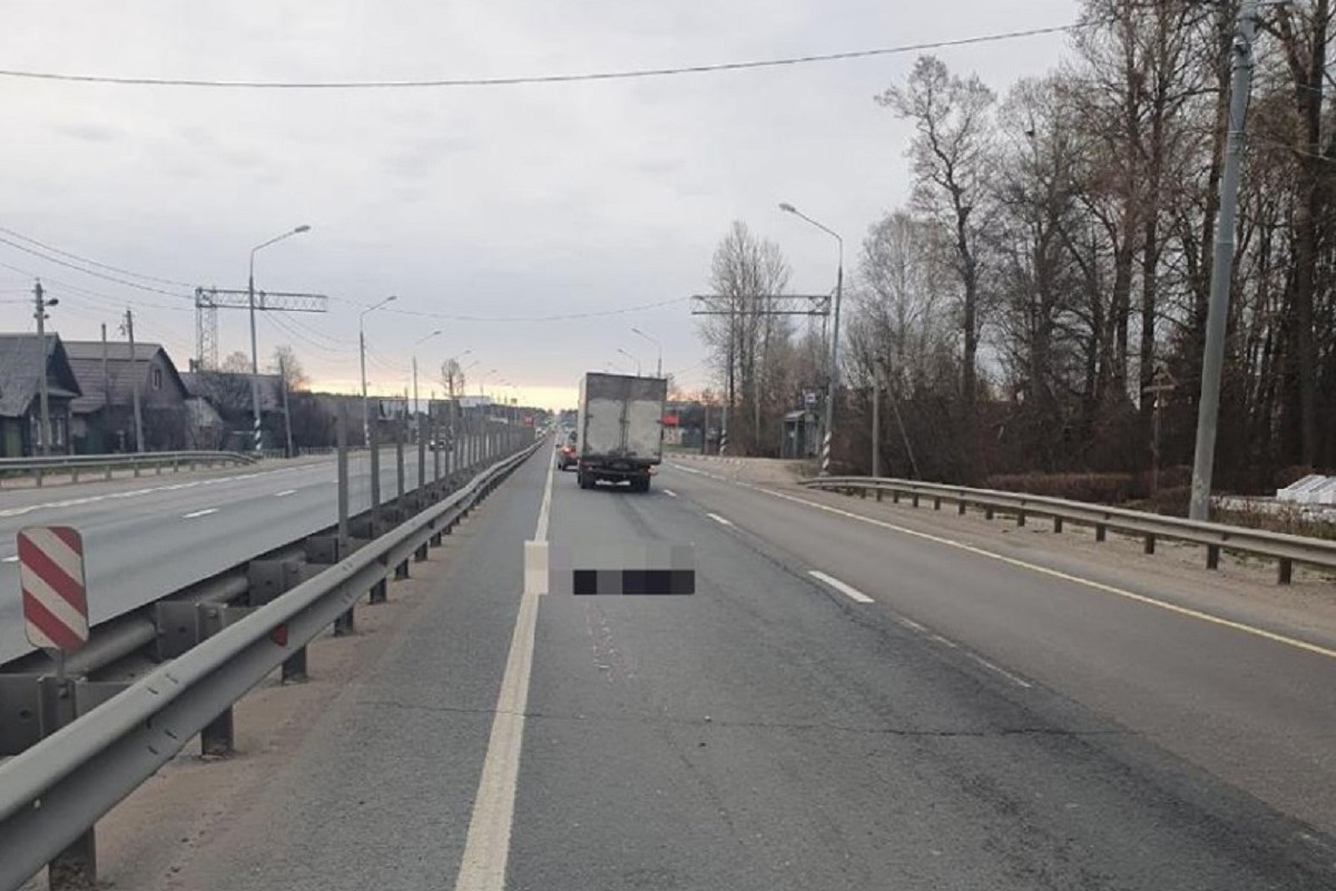 На М-10 в Тверской области сбили насмерть пешехода