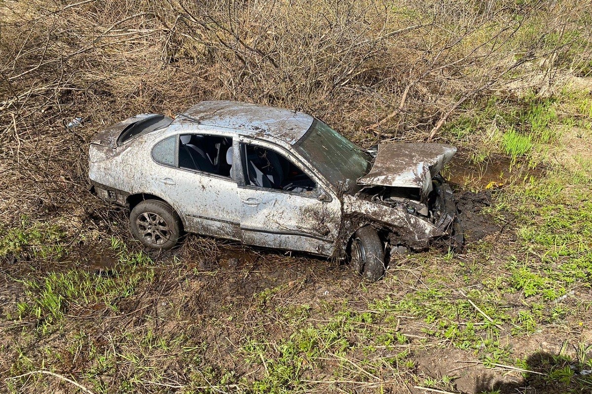 В Тверской области легковушка врезалась в дерево