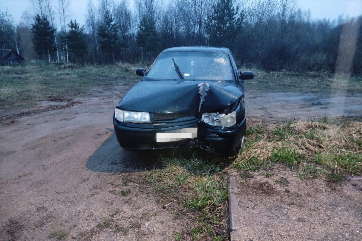 В Тверской области легковушка врезалась в опору ЛЭП