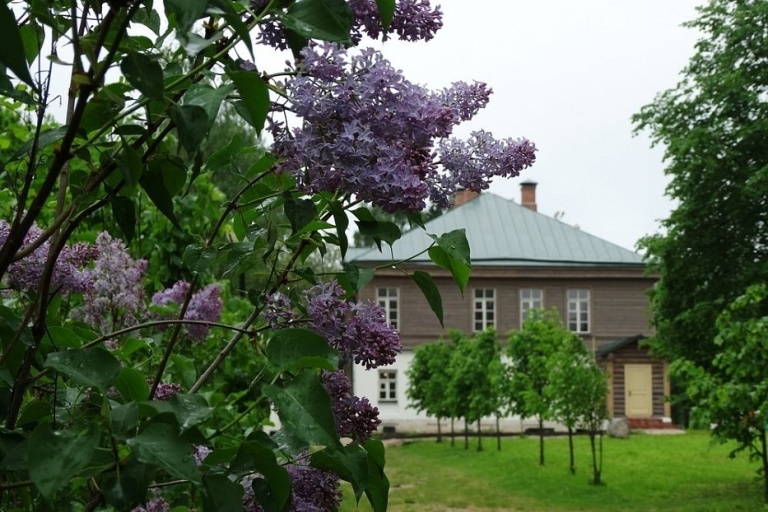 Жителей Тверской области и гостей региона призывают одеться в сиреневое и посетить Домотканово