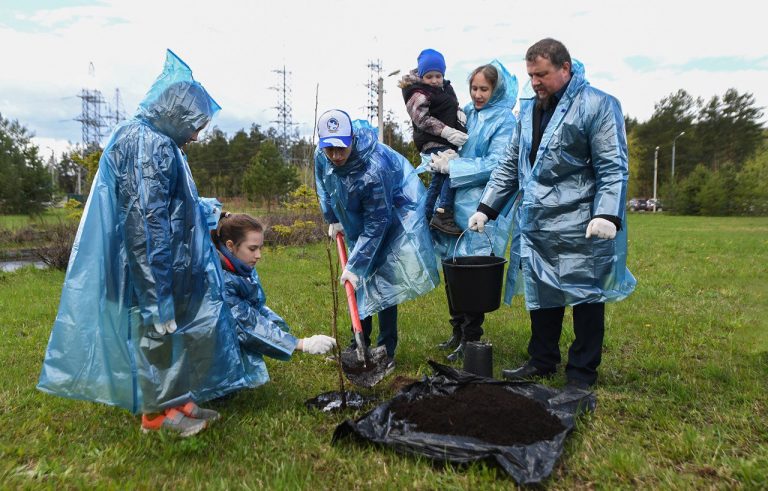 В преддверии Международного дня семьи у тверского перинатального центра посадили дубы