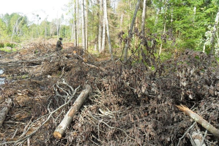 В Тверской области оштрафовали владельца неиспользуемых и загрязненных сельхозугодий