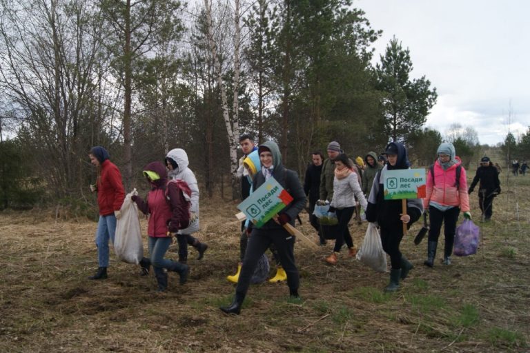 В Тверской области высадят 3,5 миллиона деревьев в рамках акции «Сад памяти»