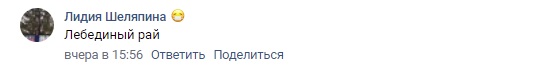 В Тверской области обнаружили лебединое озеро