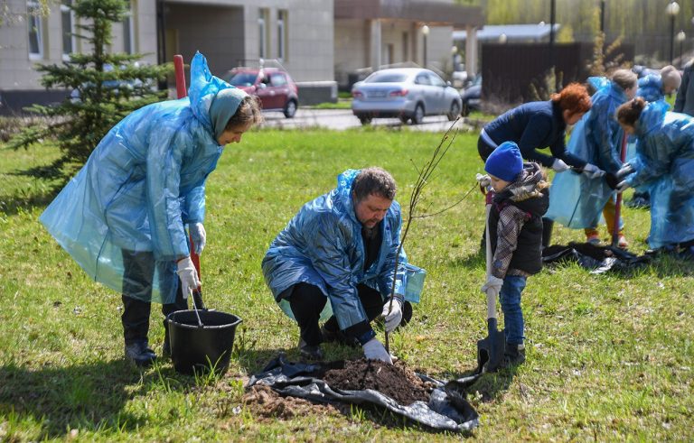 В преддверии Международного дня семьи у тверского перинатального центра посадили дубы