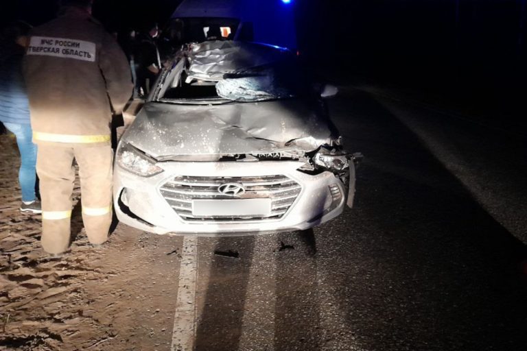 В Тверской области 18-летний пассажир получил травмы при столкновении машины с лосем