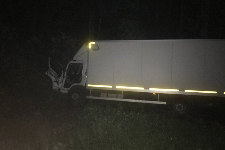 Лось погиб, водитель травмирован в ДТП на трассе М-10 в Тверской области