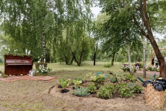 Впервые за последние два века в Твери появился аптекарский огород
