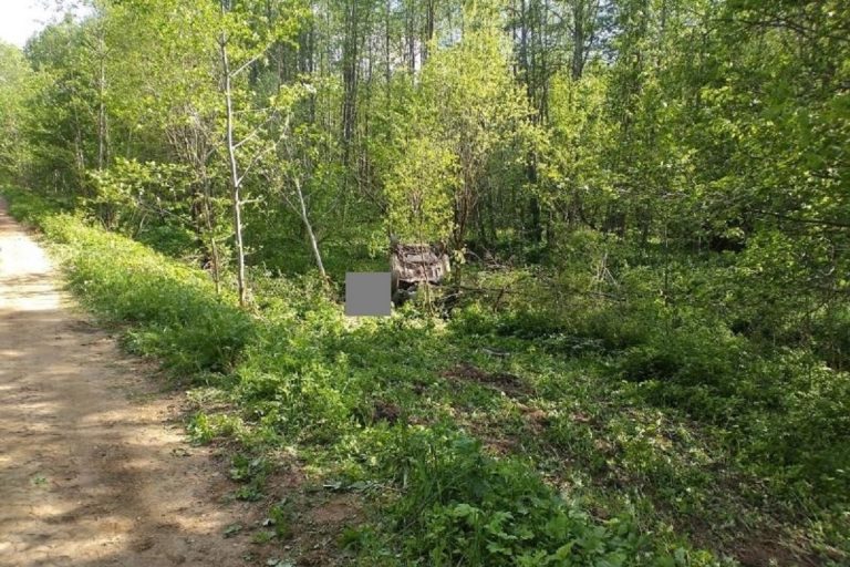 Погиб водитель перевернувшейся легковушки в Тверской области