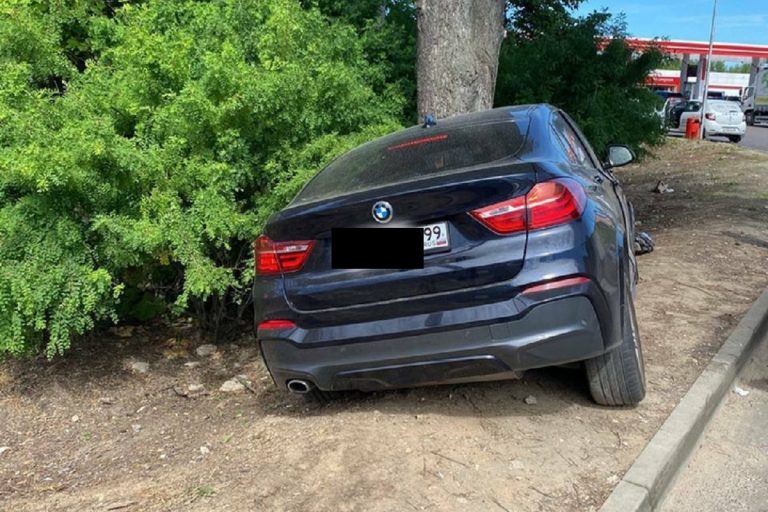 Молодая автоледи на BMW врезалась в дерево под Тверью