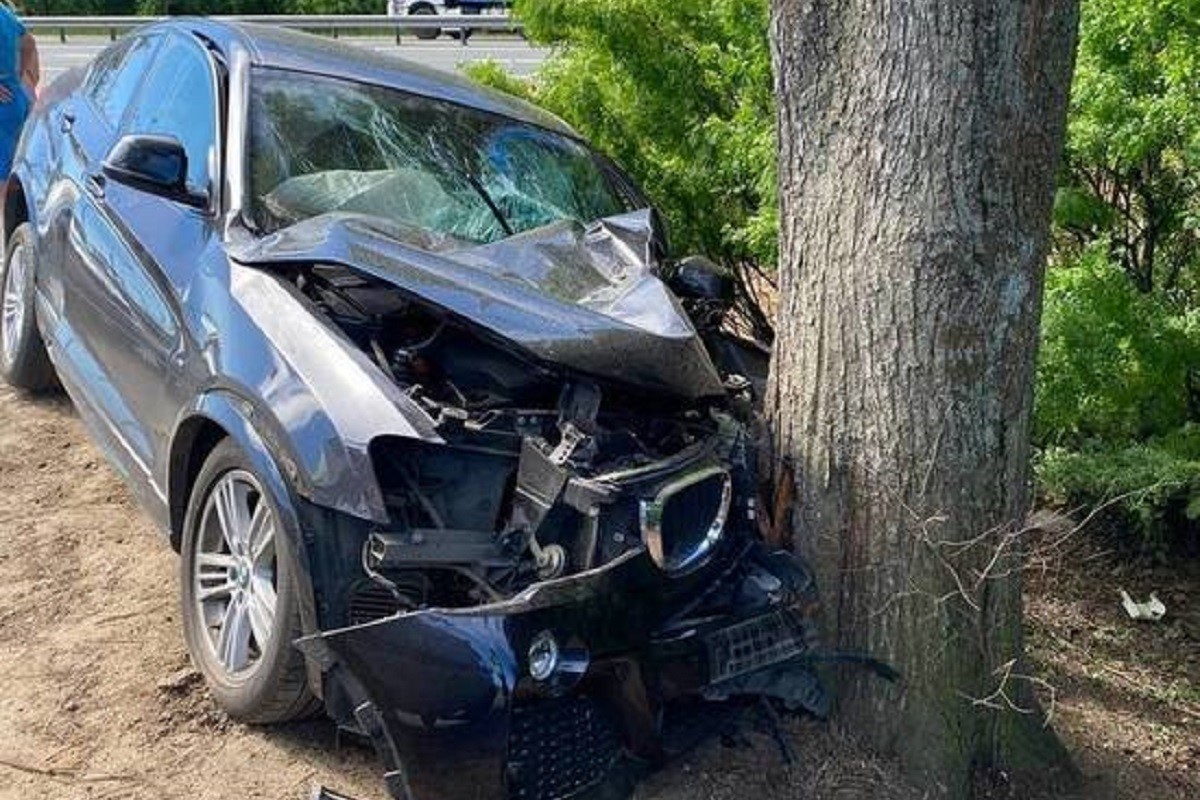Молодая автоледи на BMW врезалась в дерево под Тверью
