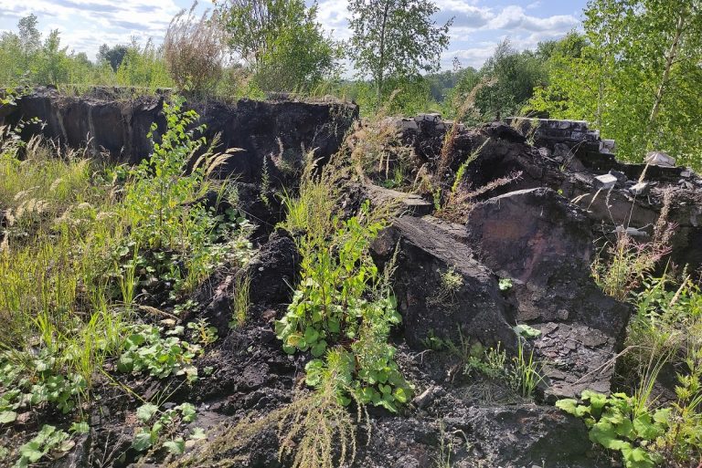 На заброшенном заводе в Тверской области выявлено загрязнение почвы