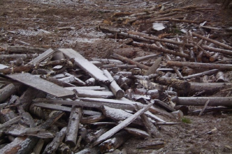 Пашню в Тверской области завалили порубочными остатками
