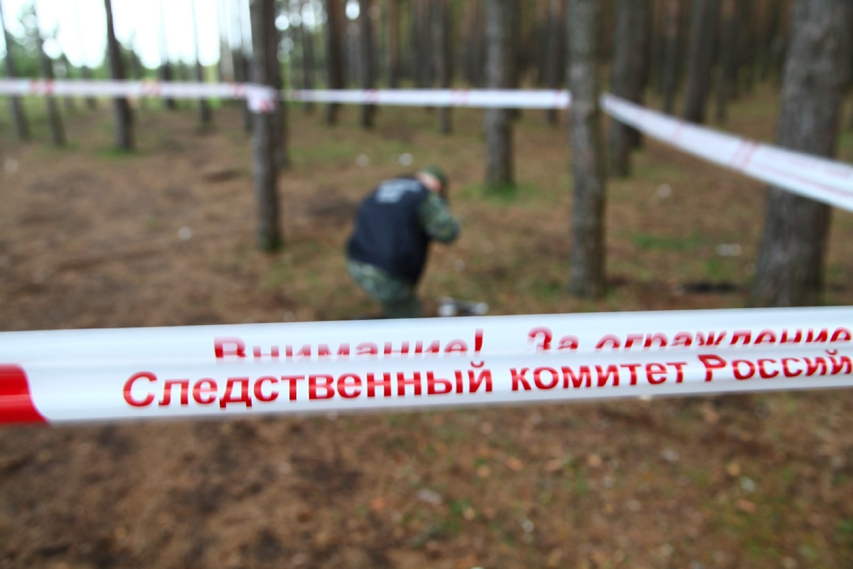 Насильника из Тверской области ищут полиция и следователи