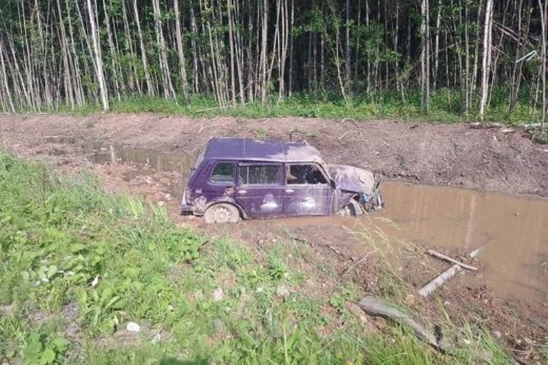 В Тверской области уснувший за рулем водитель устроил ДТП с двумя пострадавшими