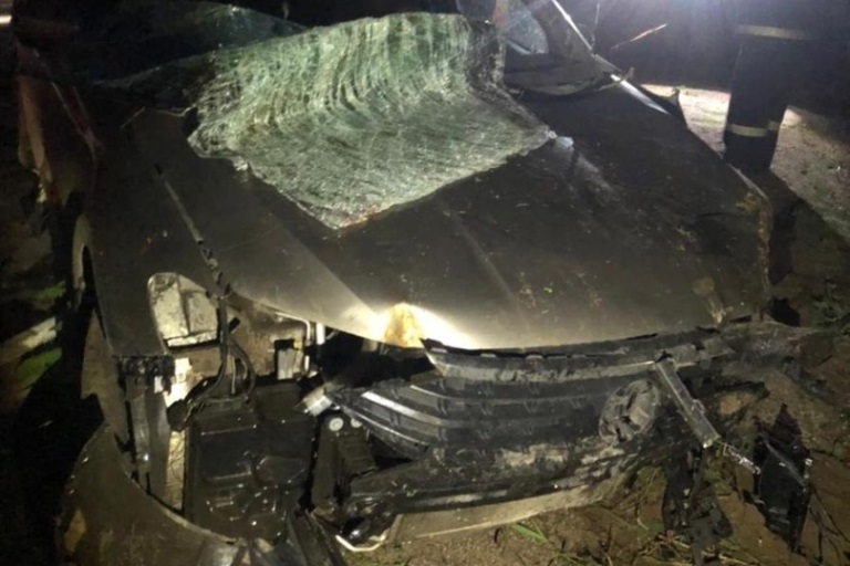Два человека пострадали в столкновении машины с лосем в Тверской области