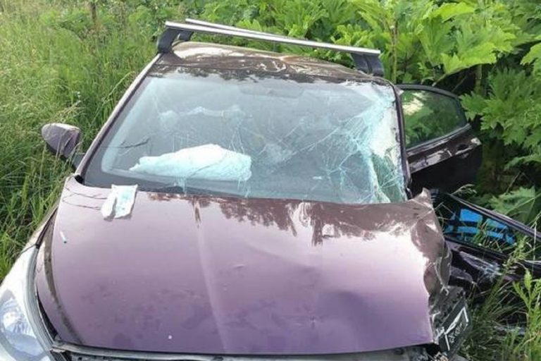 Женщина-водитель спровоцировала лобовое ДТП в Тверской области