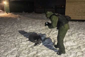 В Тверской области осудили мать растерзанного собаками ребенка В Тверской области осудили мать растерзанного собаками ребенка