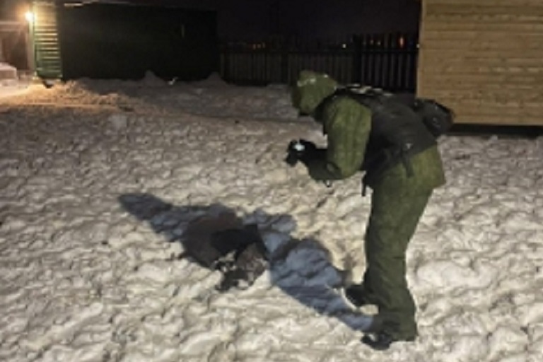 В Тверской области осудили мать растерзанного собаками ребенка