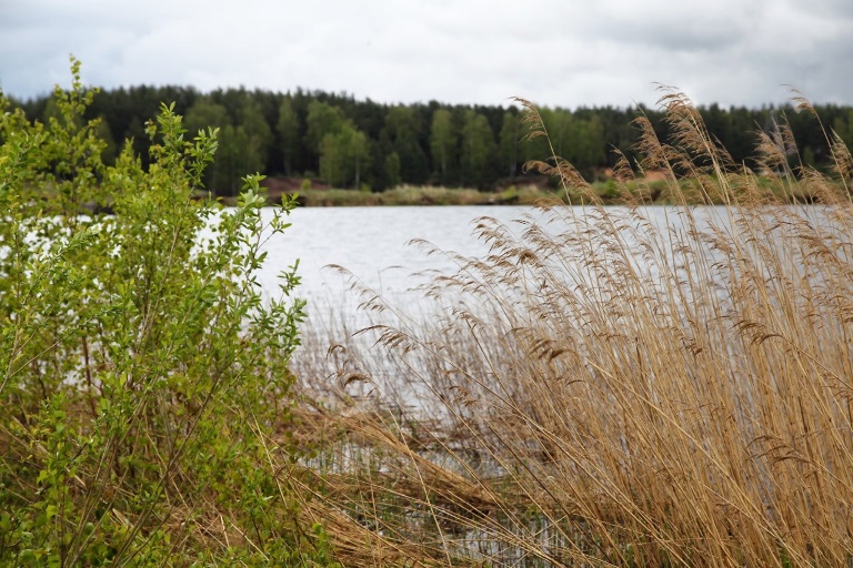 Пожилой мужчина утонул в реке в Тверской области