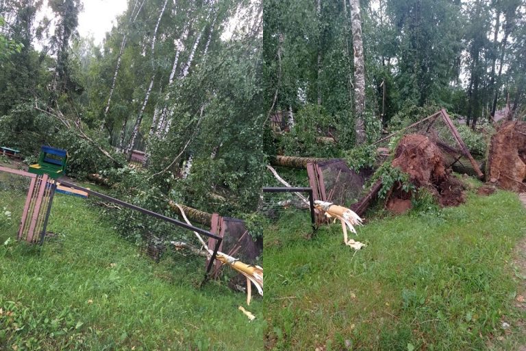 В Тверской области ураган завалил деревьями детский сад