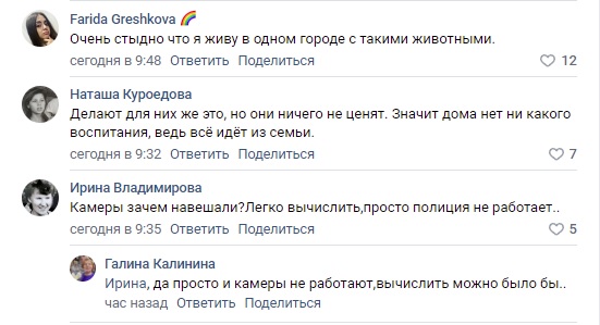 Жители города в Тверской области опубликовали чудовищное фото разгула вандалов