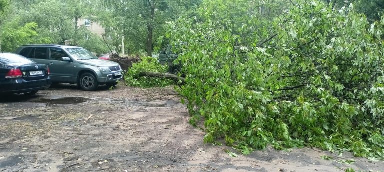 Гроза и град ударили только по одному микрорайону Твери