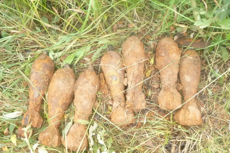 В Тверской области обнаружили мины